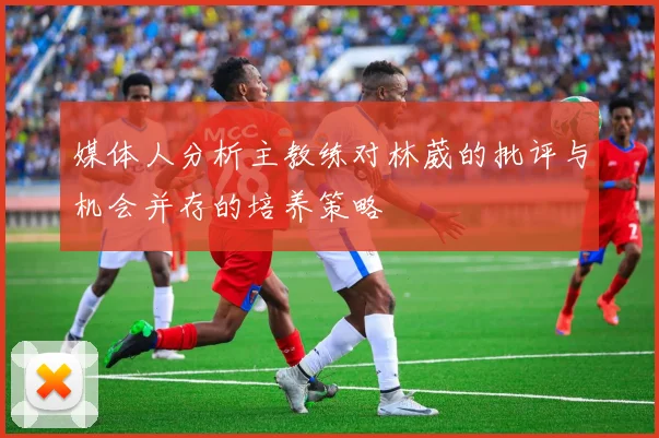 媒体人分析主教练对林葳的批评与机会并存的培养策略